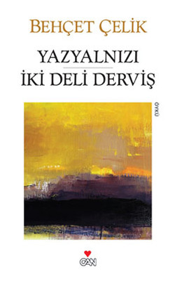 Yazyalnızı İki Deli Derviş Kitap Kapağı