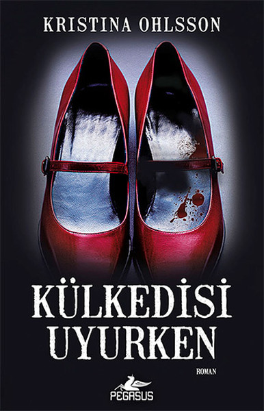 Külkedisi Uyurken Kitap Kapağı