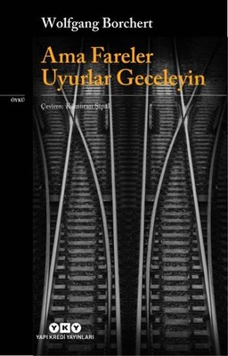 Ama Fareler Uyurlar Gece Kitap Kapağı