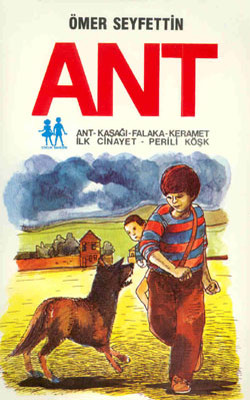 Ant Kitap Kapağı