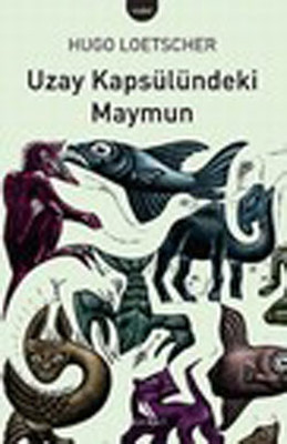 Uzay Kapsülündeki Maymun Kitap Kapağı