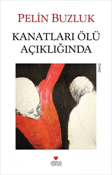 Kanatları Ölü Açıklığında Kitap Kapağı