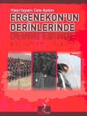 Ergenekon'un Derinliklerinde Kitap Kapağı
